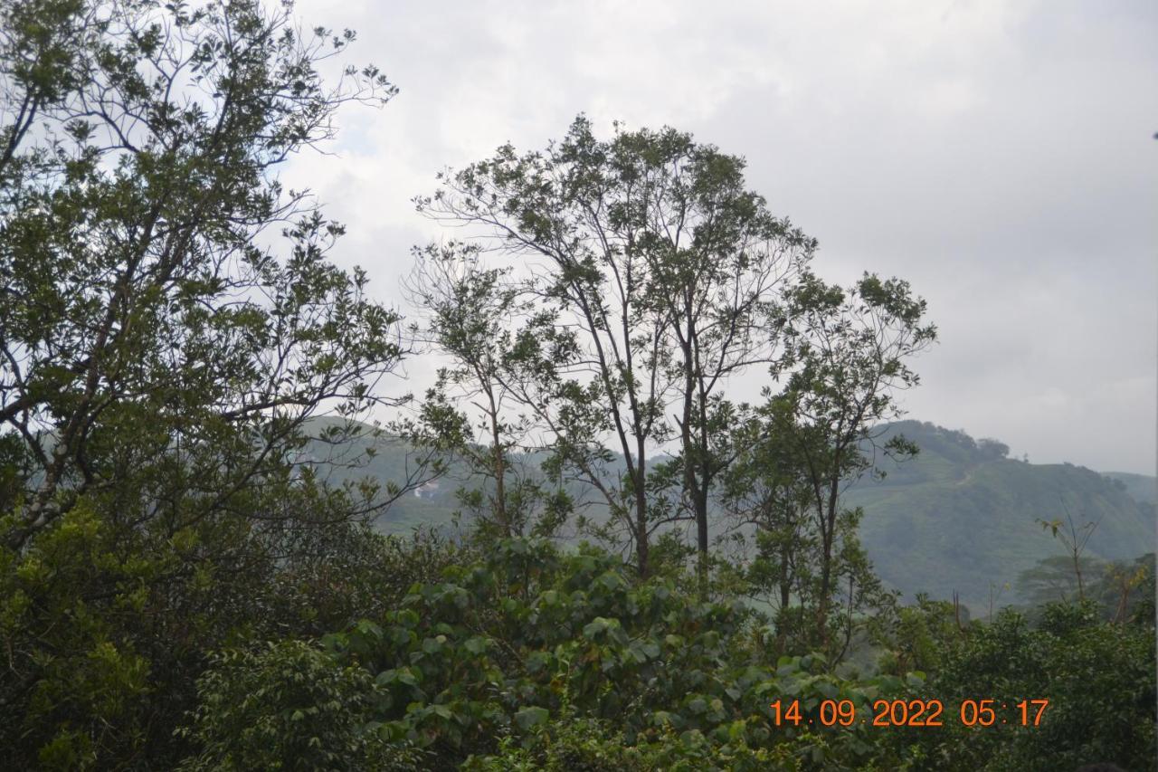 Sharon Valley Vagamon Buitenkant foto